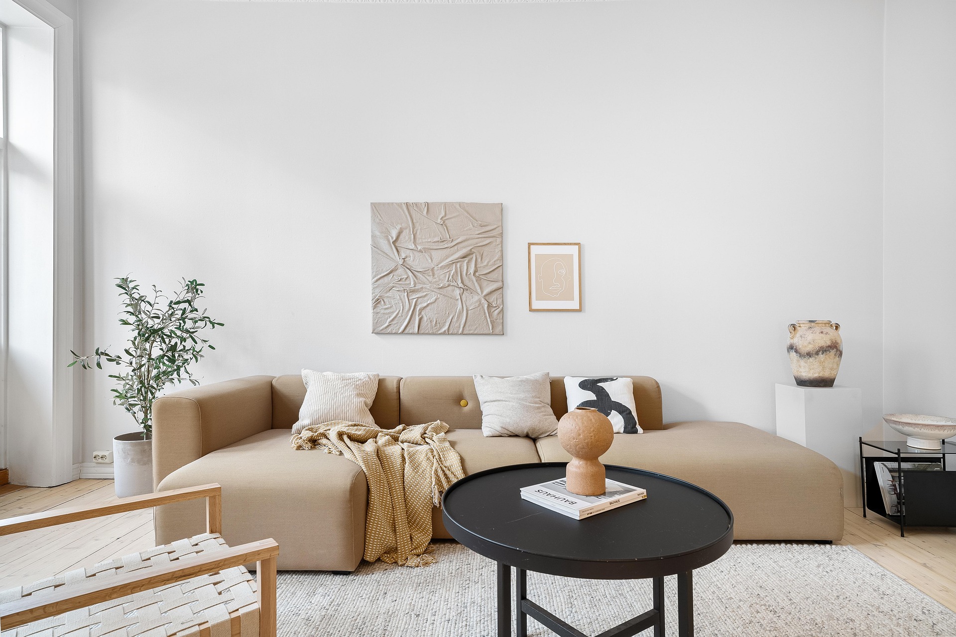 Hire Professional Carpet Cleaners To Keep The Carpet Germ Free